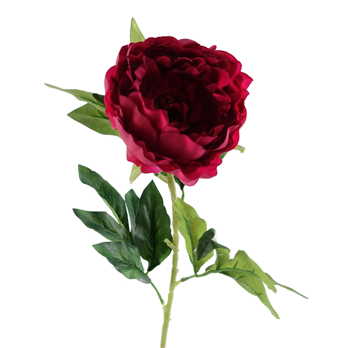 80cm Artificial Realistic Faux Peony Stem – image 2