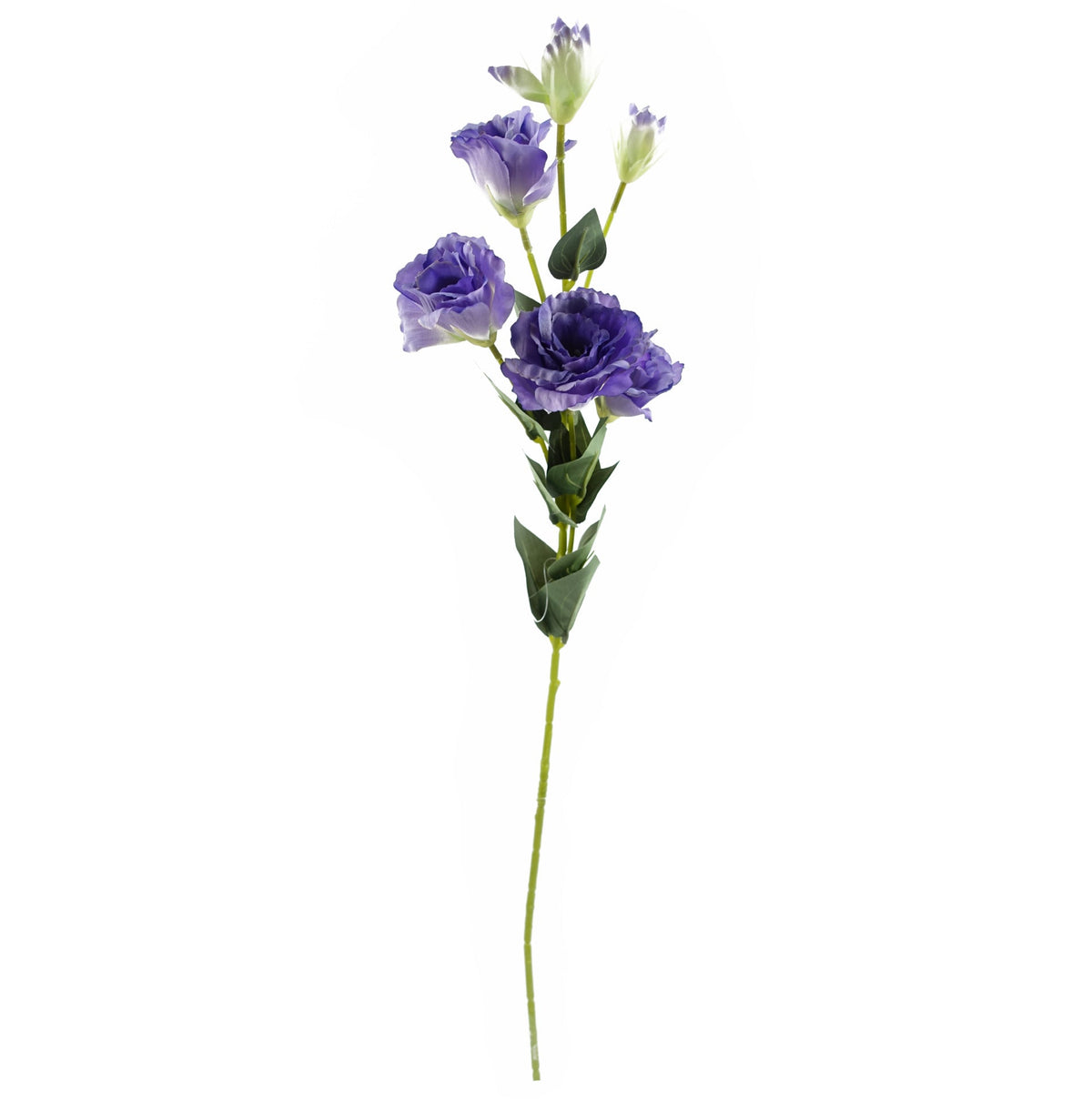 80cm Artificial Faux Wild Rose Stem – image 14