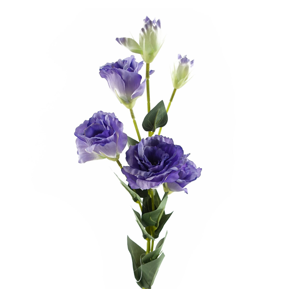 80cm Artificial Faux Wild Rose Stem – image 13