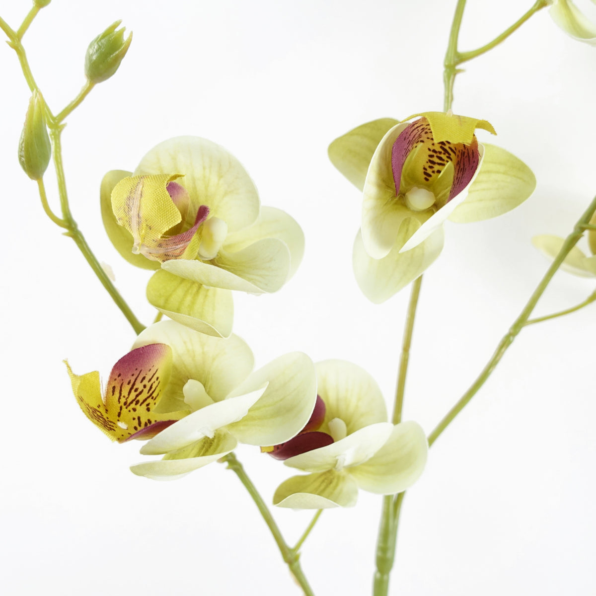 80cm Artificial Mini Orchid Stems – image 6