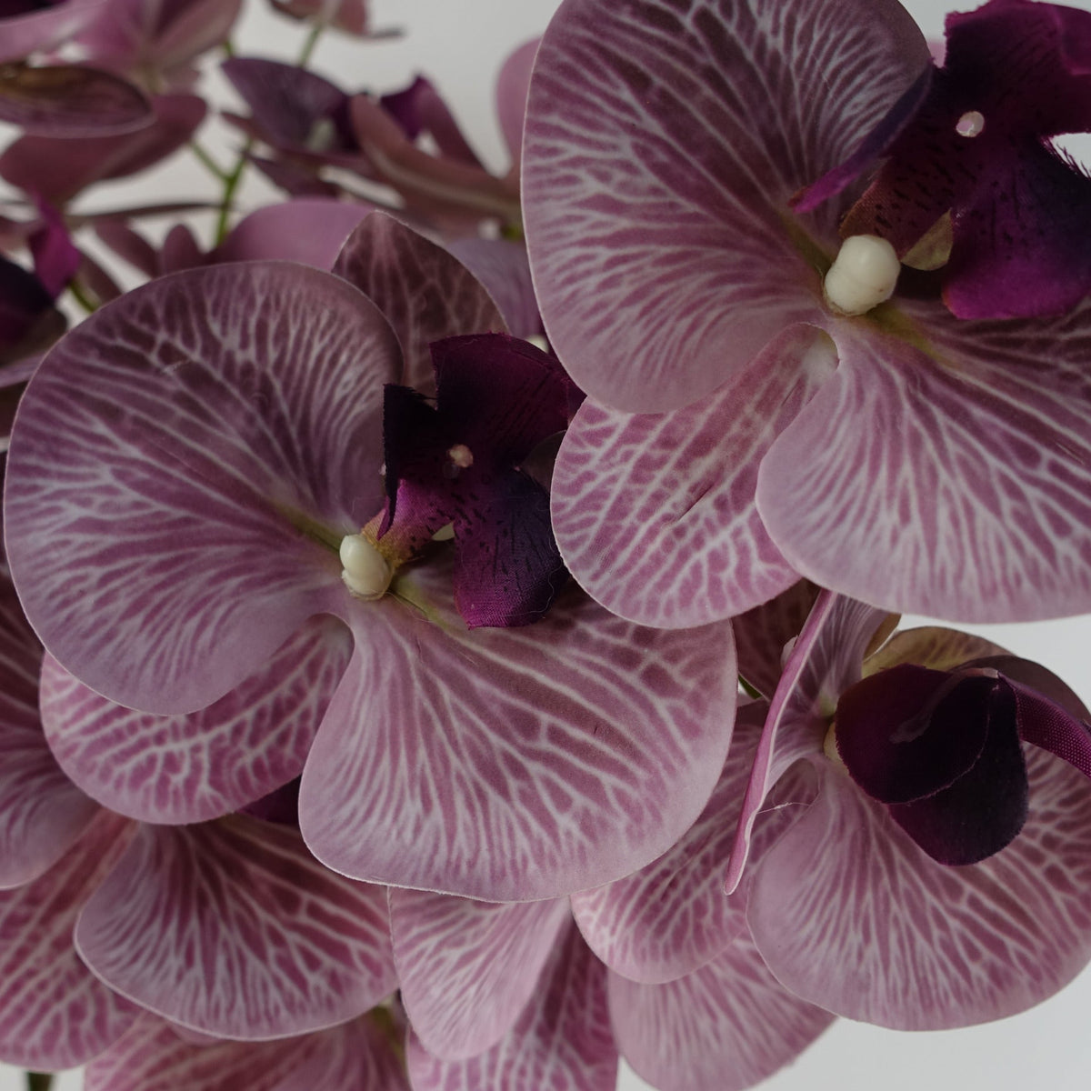 100cm Artificial Phalaenopsis Orchid Faux Stem – image 4