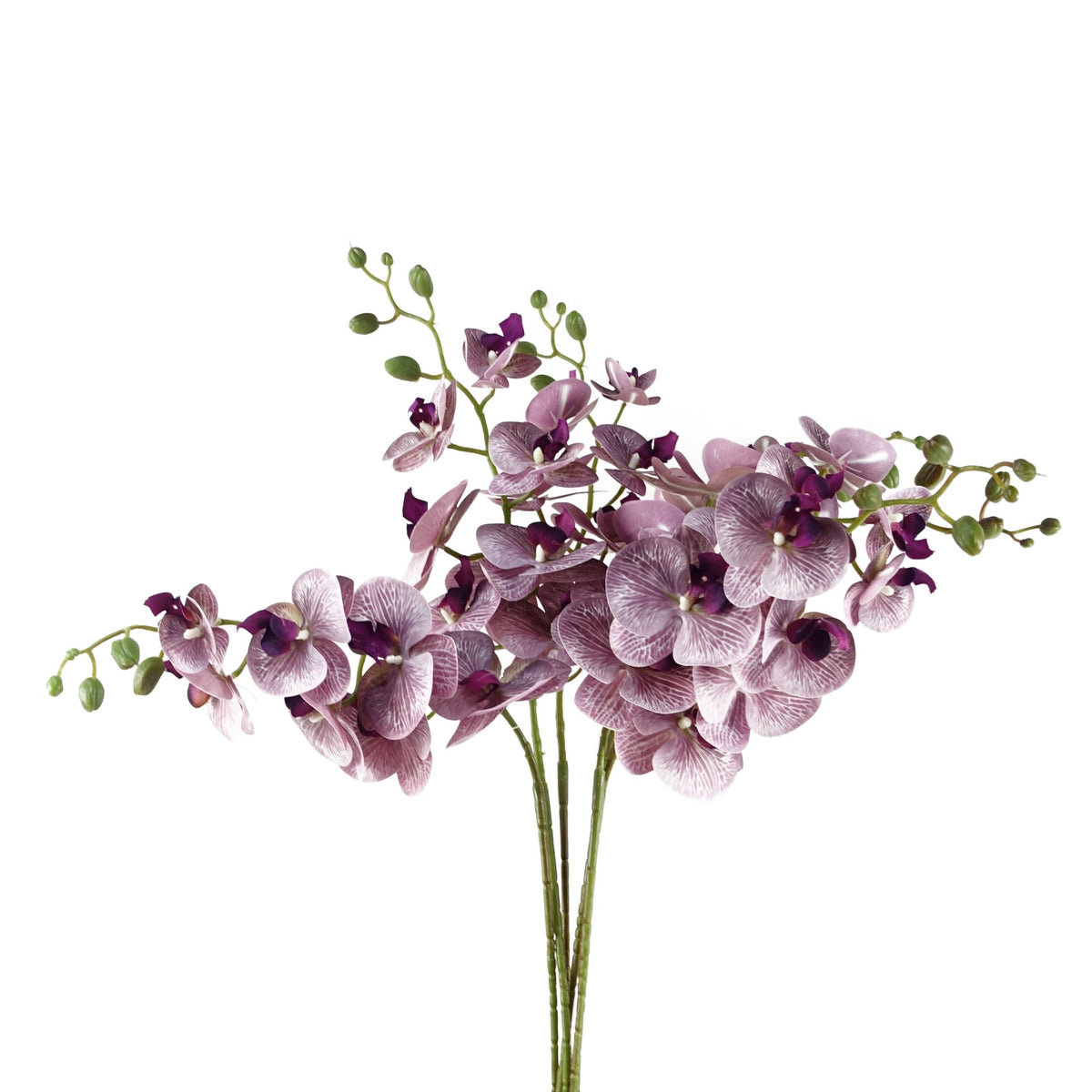 100cm Artificial Phalaenopsis Orchid Faux Stem – image 2