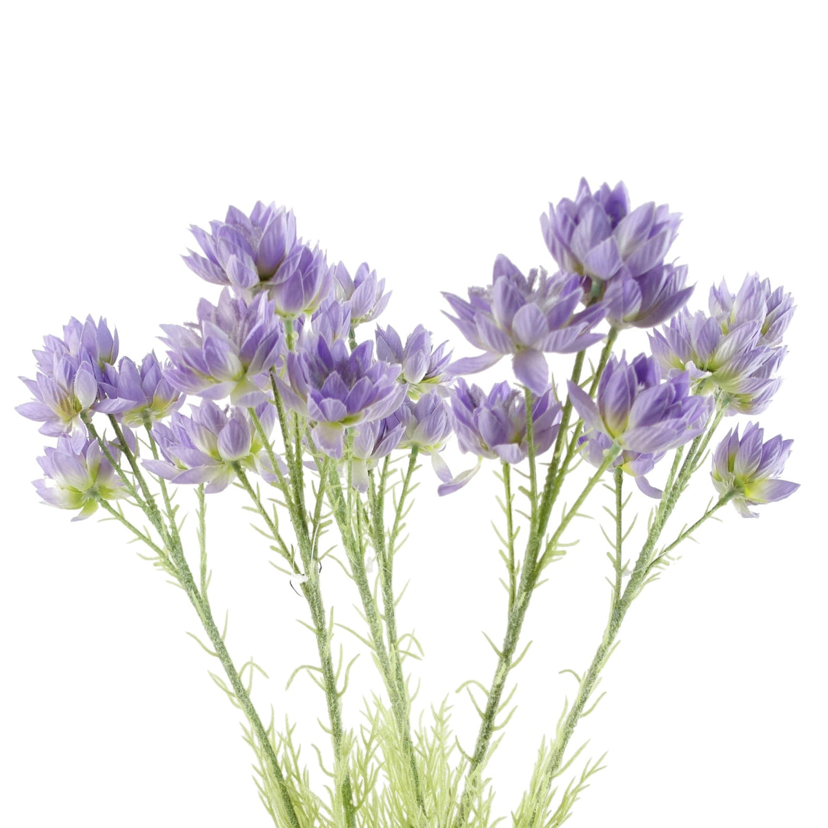 60cm Faux Starflower Stem - 5 Flowers