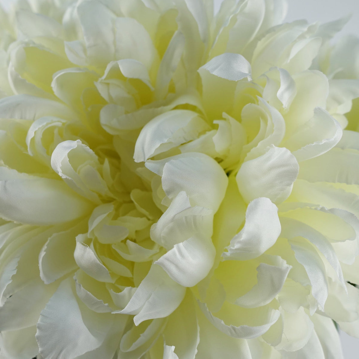 Extra Large Reflex Chrysanthemum Artificial Flowers – image 24
