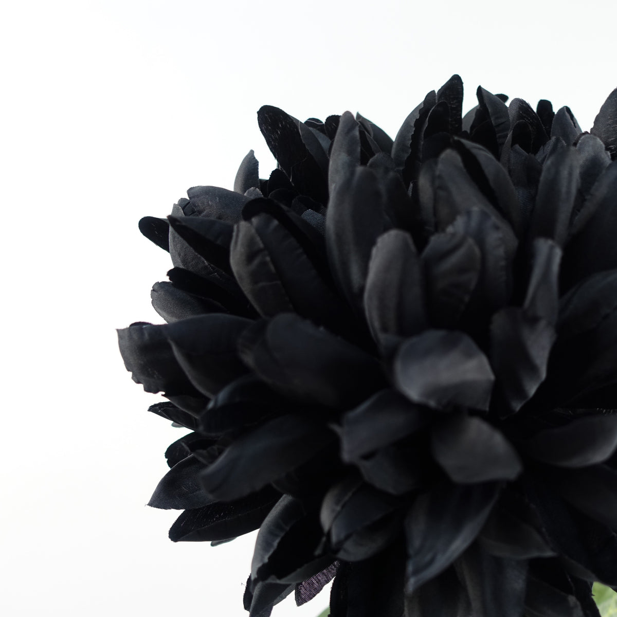 Extra Large Reflex Chrysanthemum Artificial Flowers – image 12