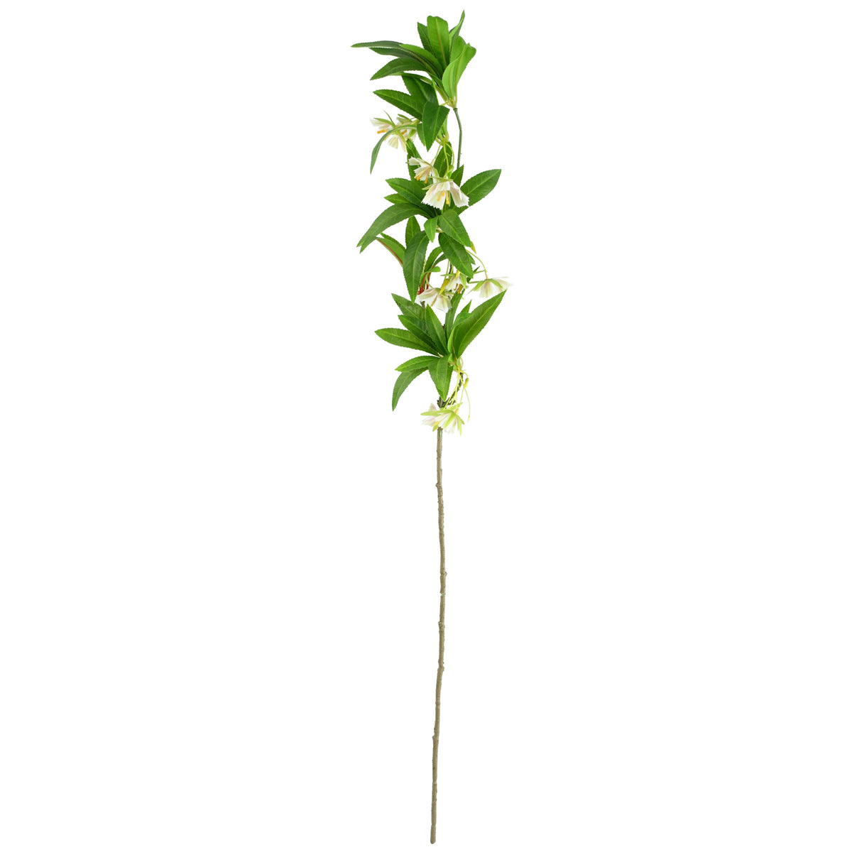 90cm Artificial Hainan Elaeocarpus Stem – image 3