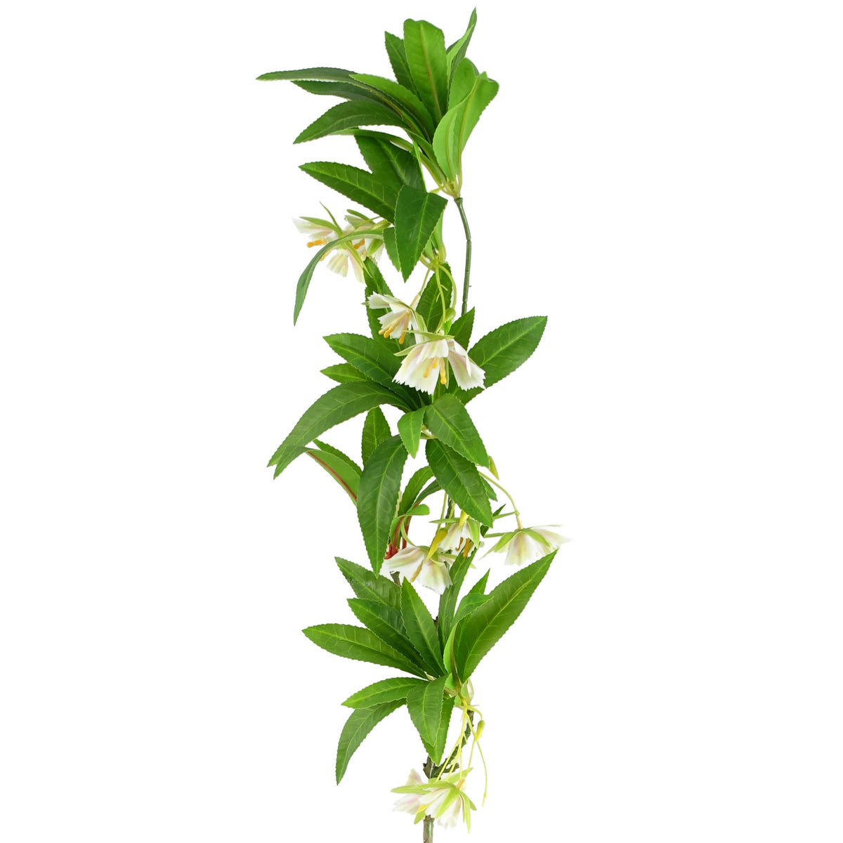 90cm Artificial Hainan Elaeocarpus Stem – image 2