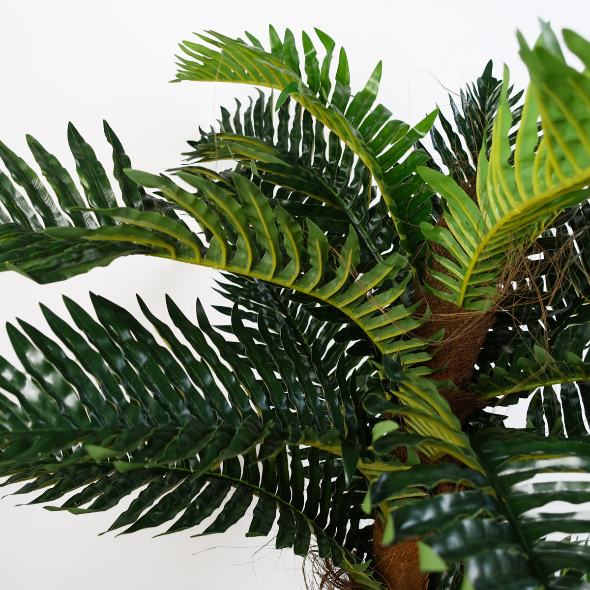 150cm Artificial Large Palm Tree with Natural Trunk – image 4