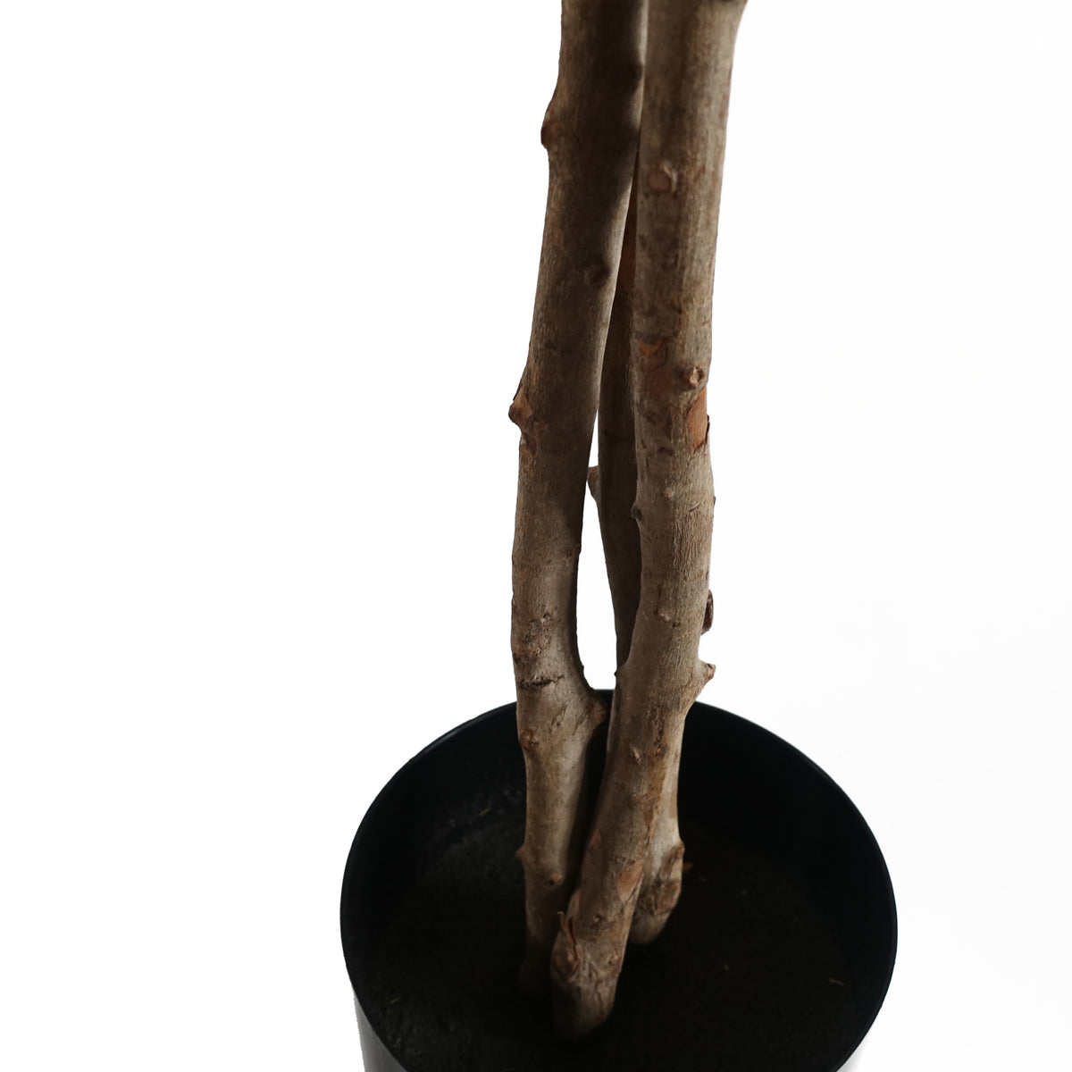 60cm Artificial Forsythia Tree – image 4
