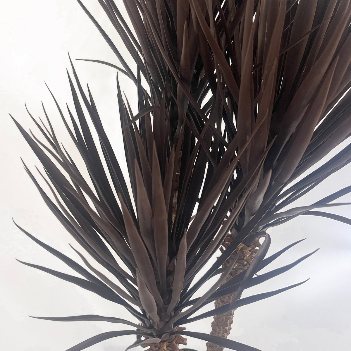 155cm Artificial UV Resistant XL Triple Yucca Tree Plant Spiky Tree Triple Dark – image 2