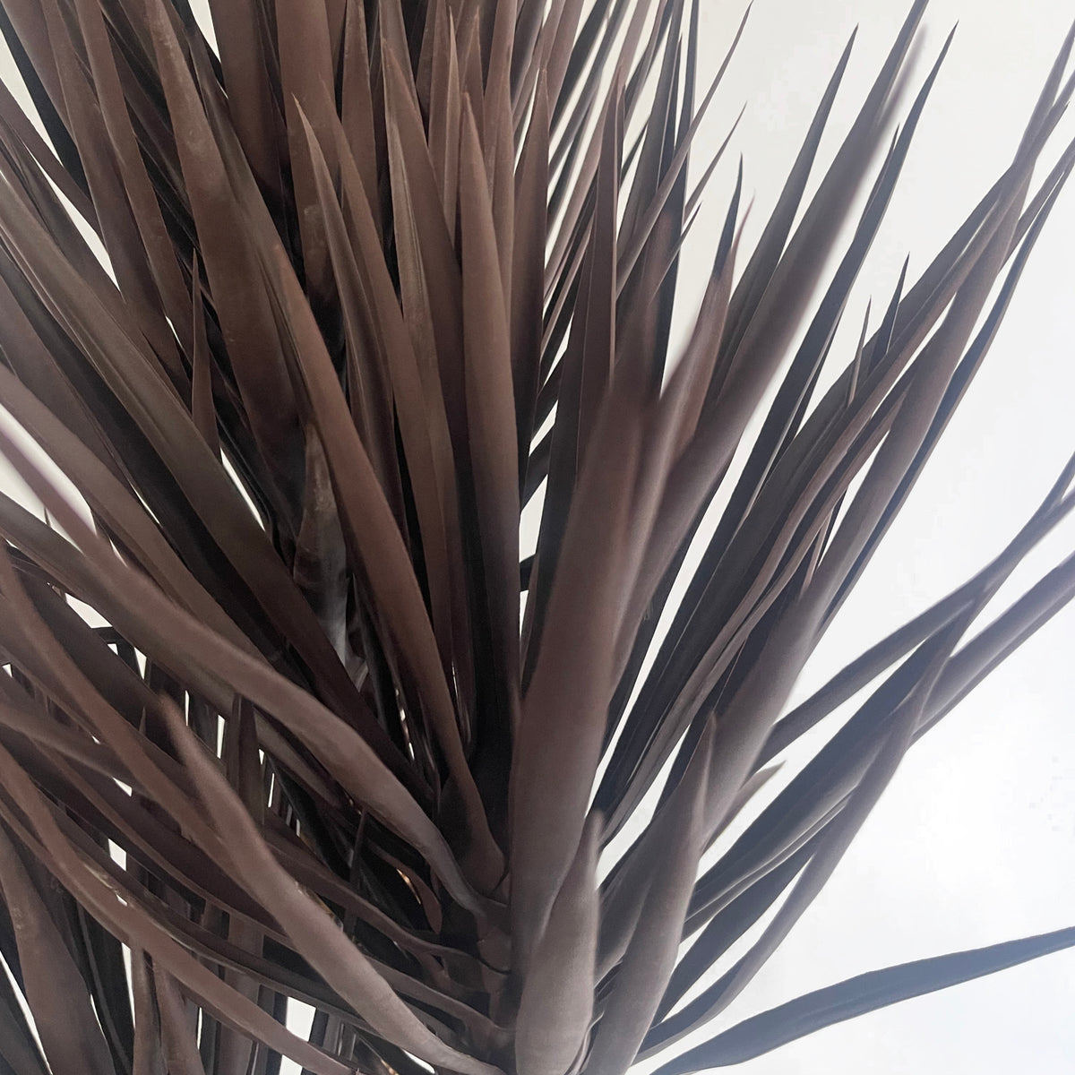 155cm Artificial UV Resistant XL Triple Yucca Tree Plant Spiky Tree Triple Dark – image 4