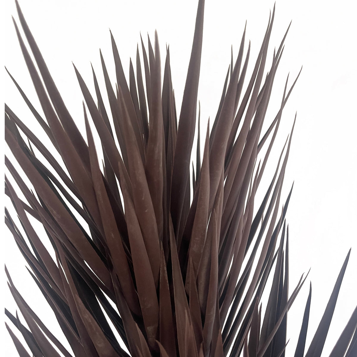 155cm Artificial UV Resistant XL Triple Yucca Tree Plant Spiky Tree Triple Dark – image 3