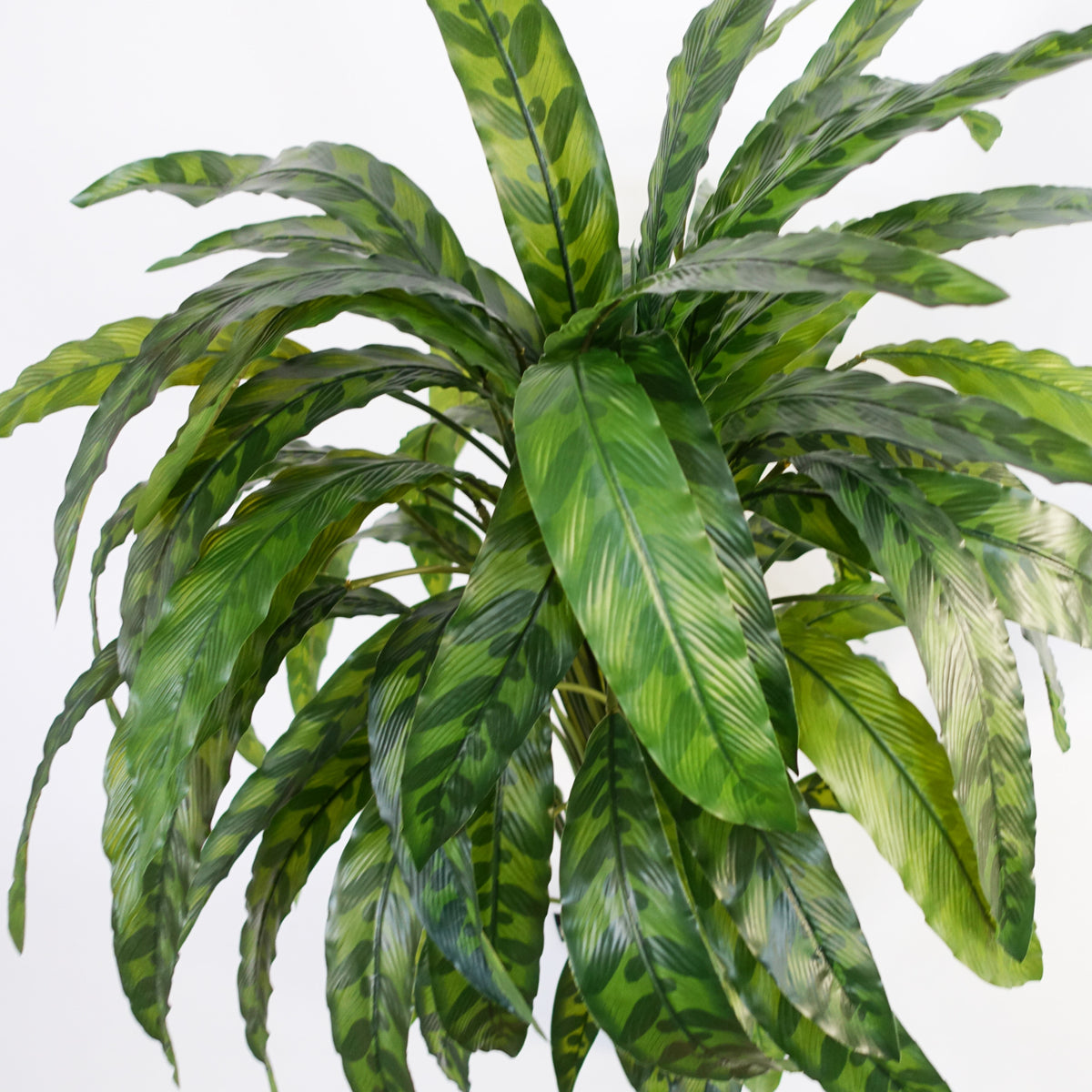 90cm Variegated Artificial Calathea Plant – image 4