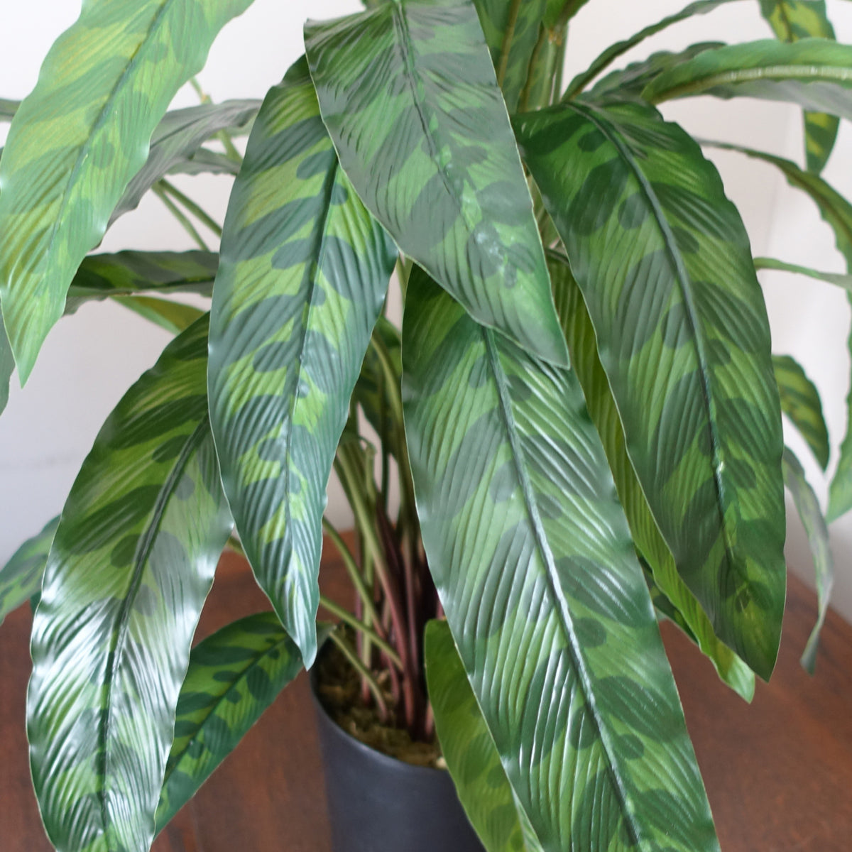 60cm Variegated Artificial Calathea Plant – image 7