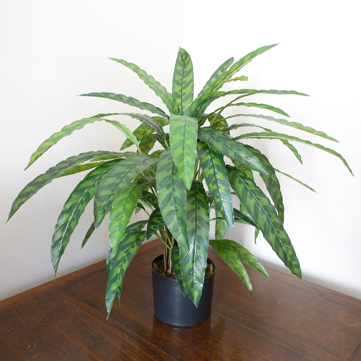 60cm Variegated Artificial Calathea Plant – image 6