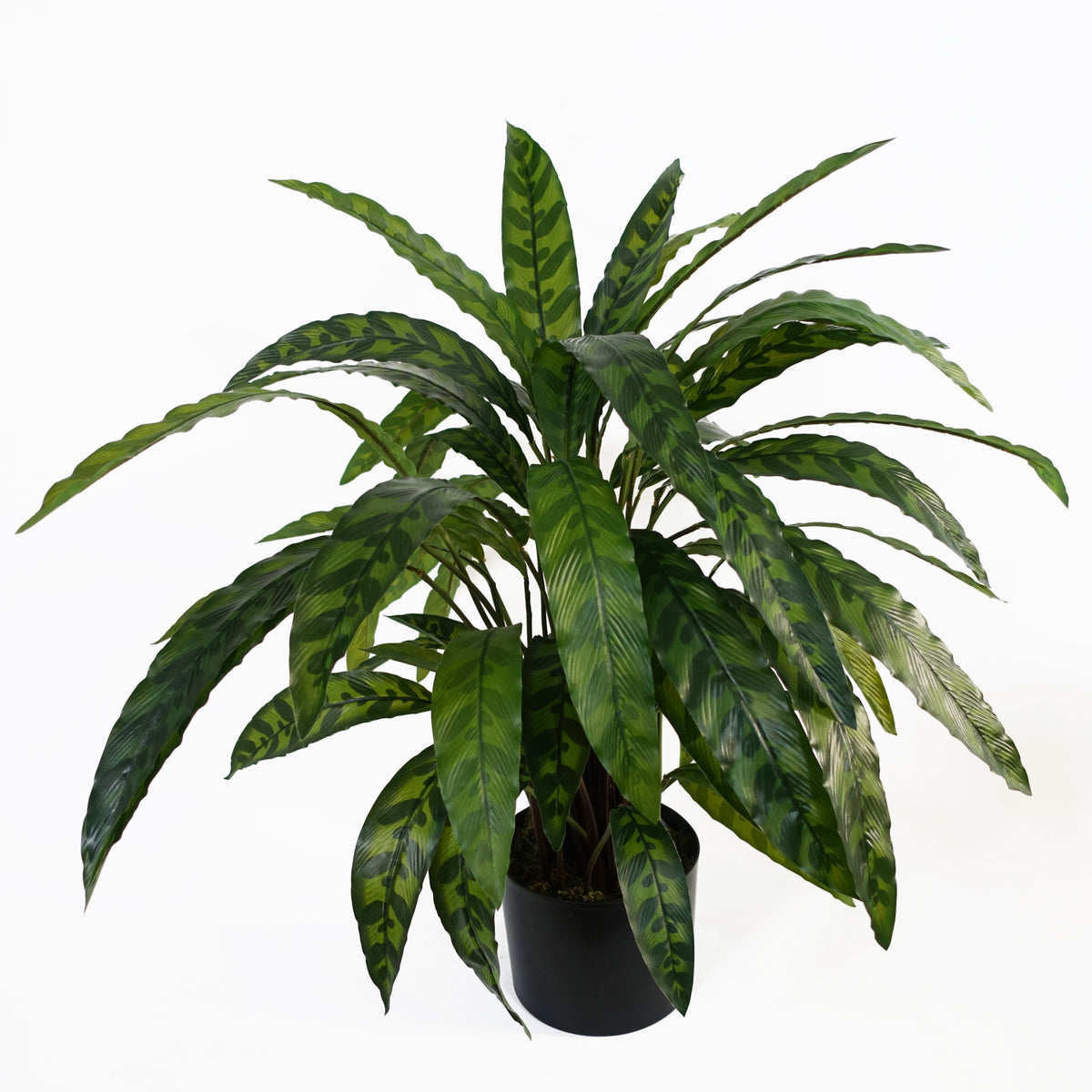 60cm Variegated Artificial Calathea Plant – image 4