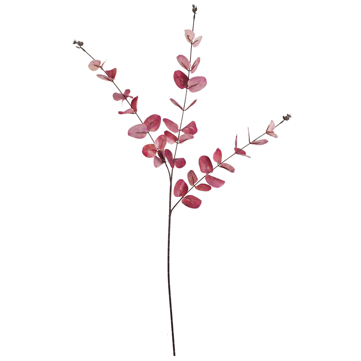 Faux Artificial Eucalyptus Foliage Stems – image 49