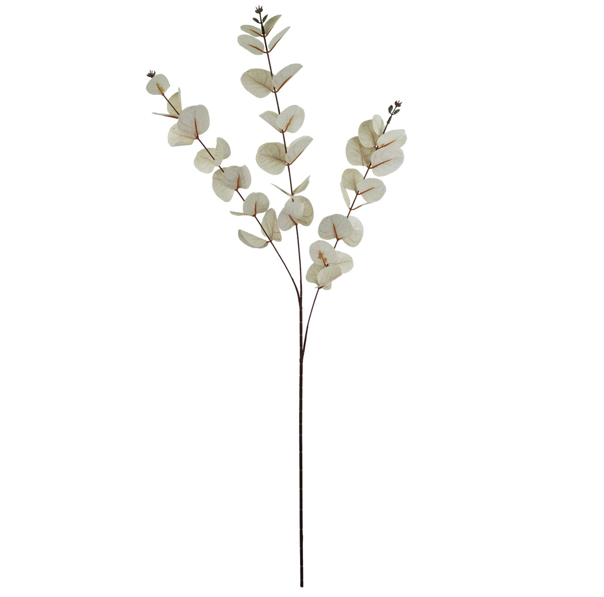 Faux Artificial Eucalyptus Foliage Stems – image 25
