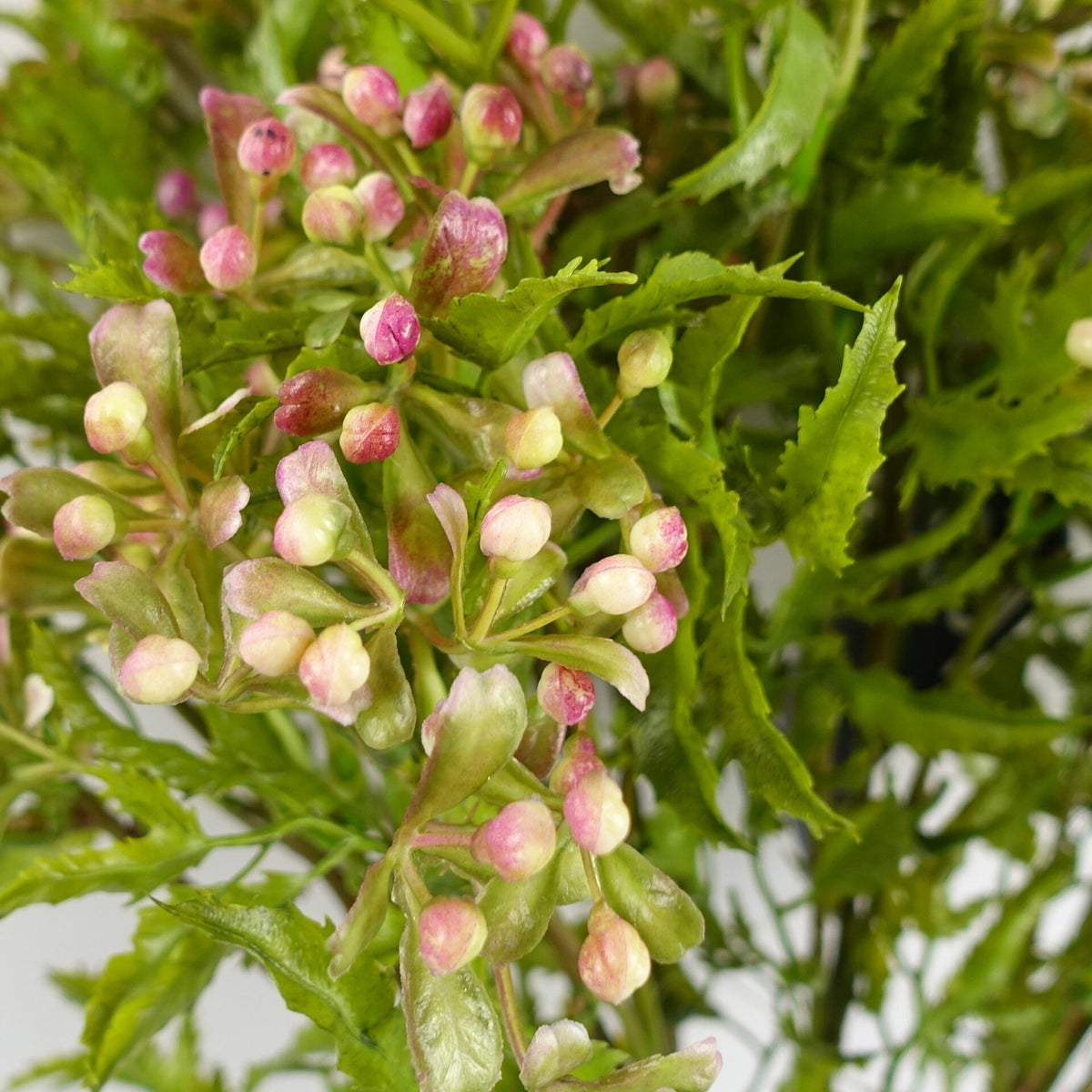 55cm Artificial Foliage Stem with Faux Berries – image 2