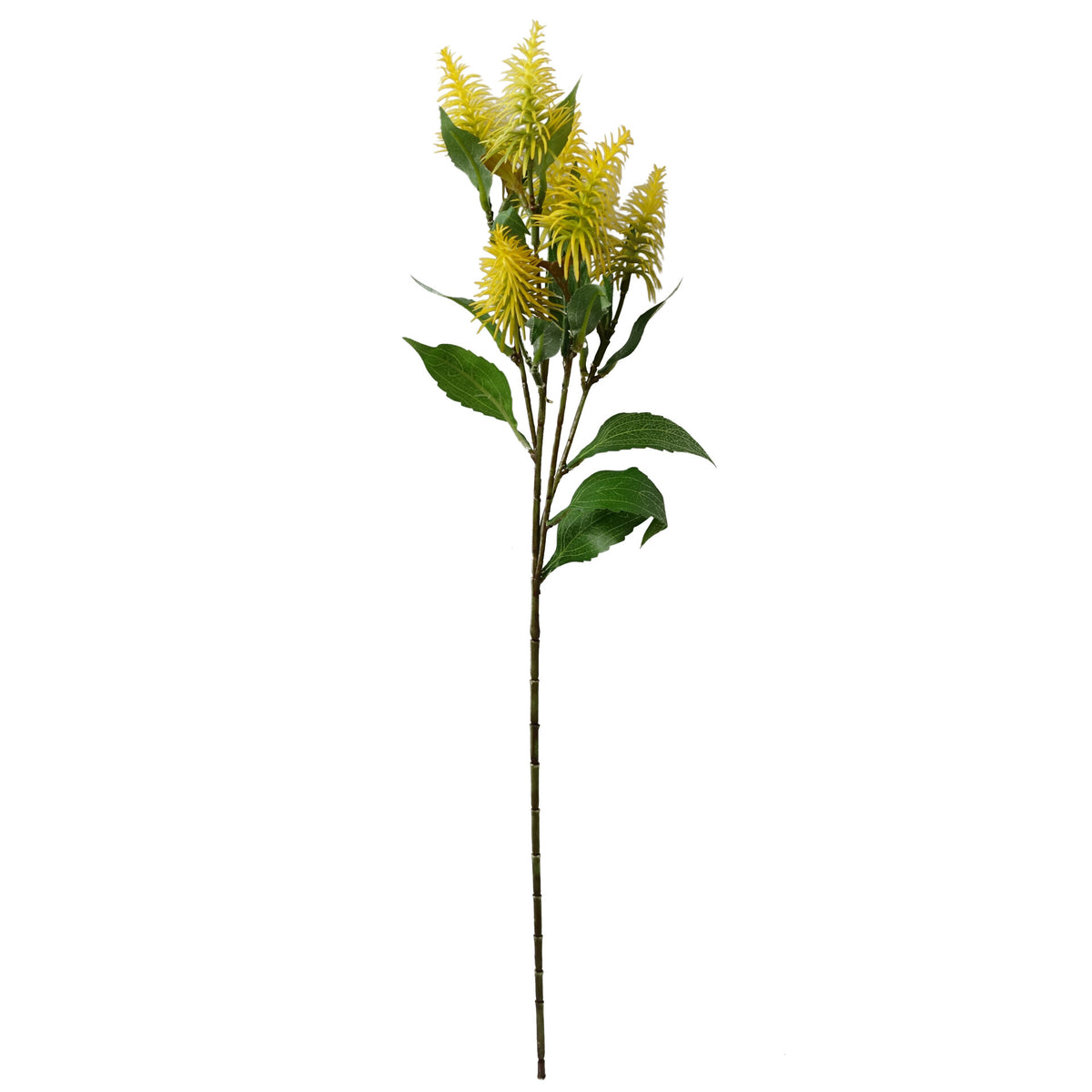55cm Callistemon Pallidus Faux Bottle Brush Stem – image 5
