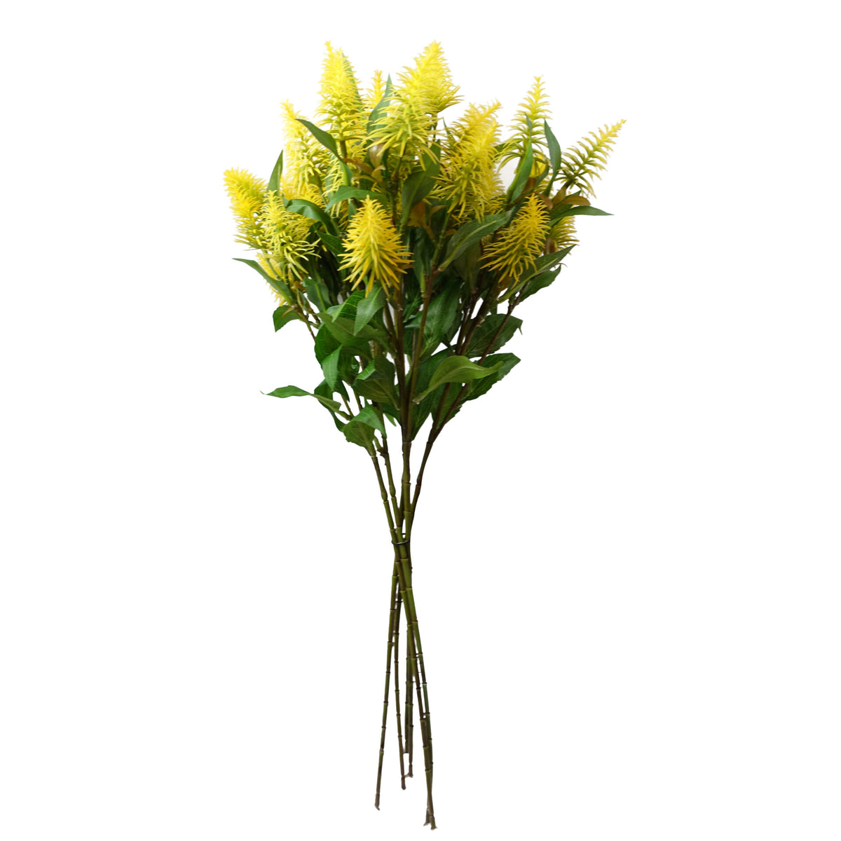 55cm Callistemon Pallidus Faux Bottle Brush Stem – image 7