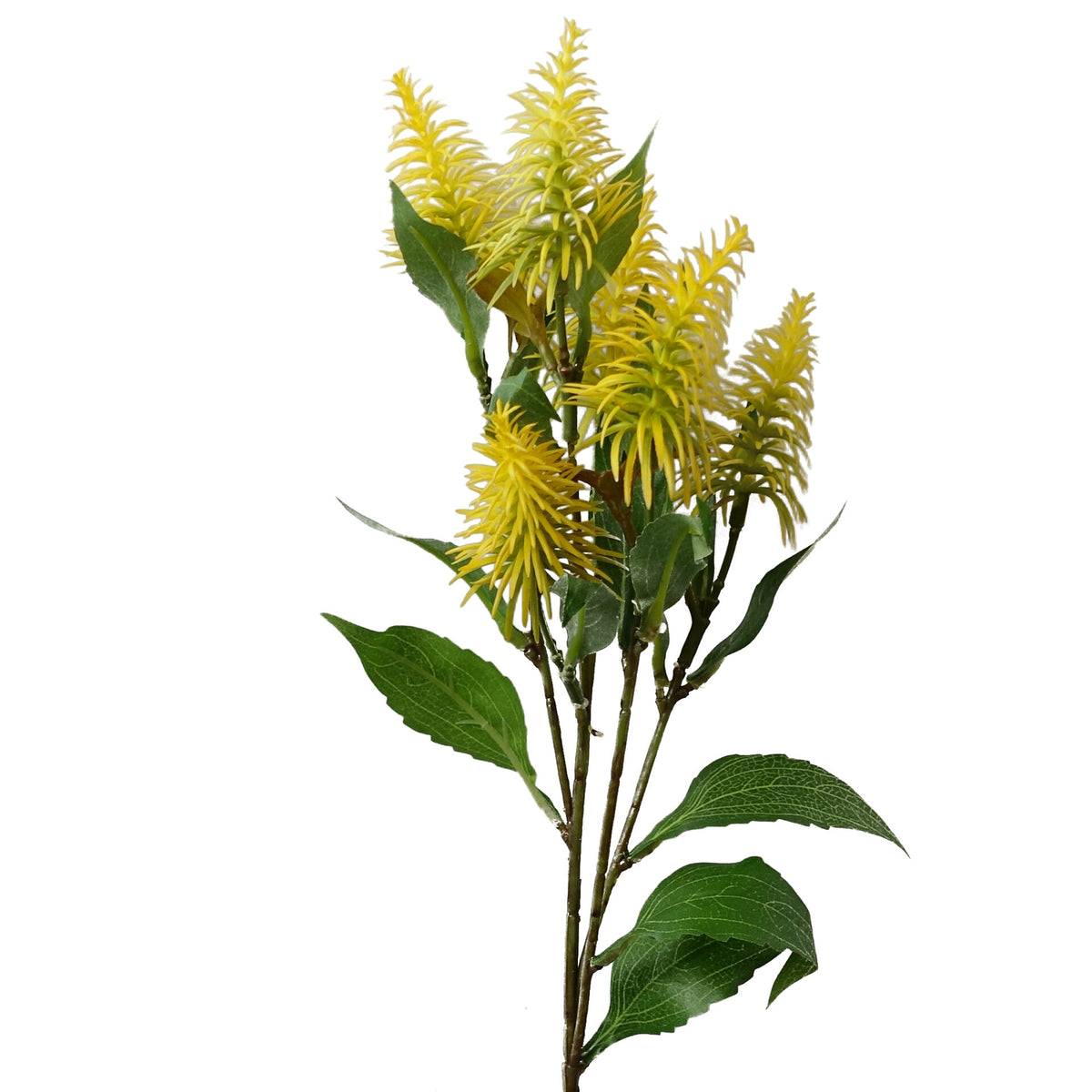 55cm Callistemon Pallidus Faux Bottle Brush Stem – image 3