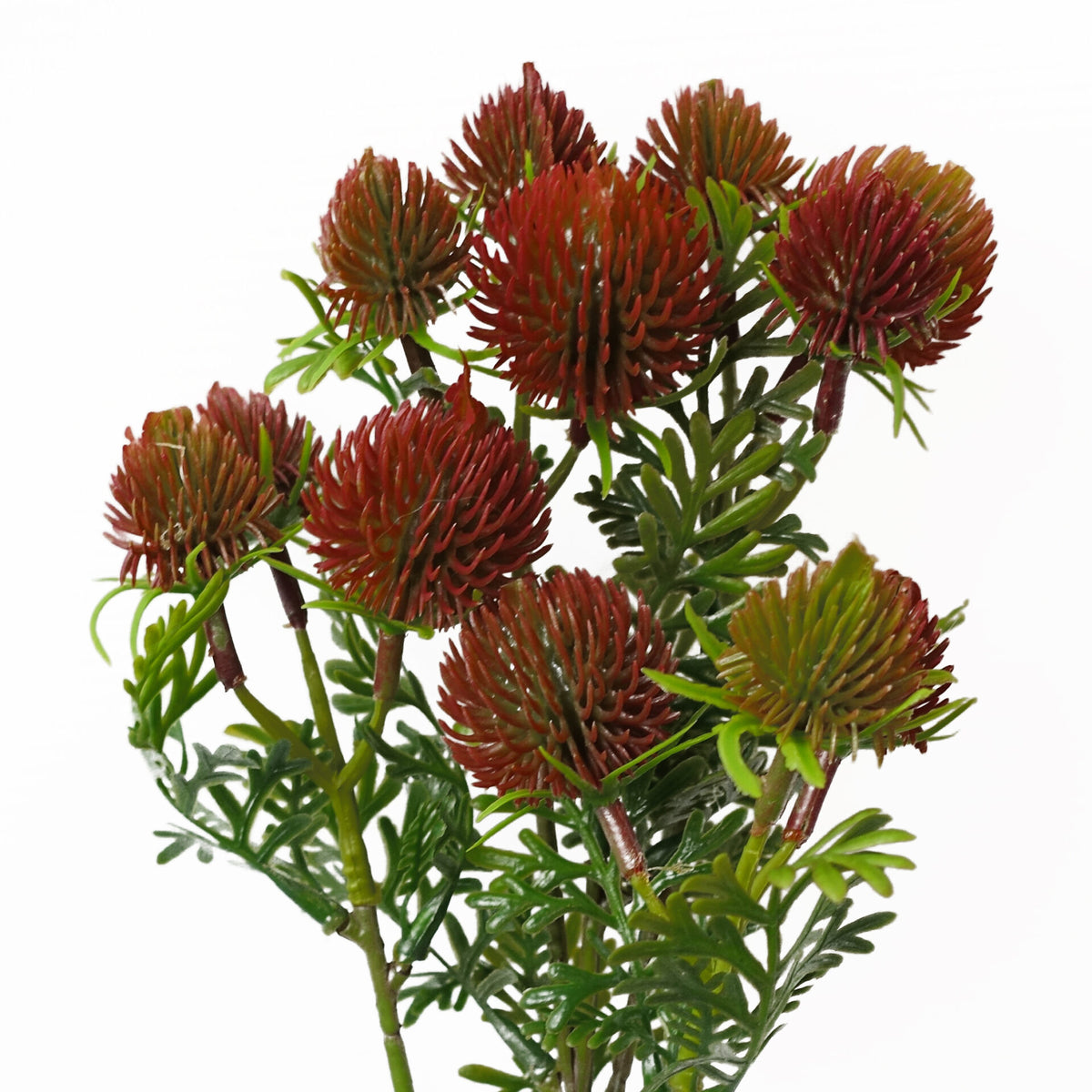 55cm Craspedia Stem Red Artificial – image 5