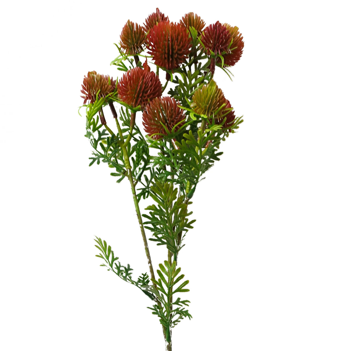 55cm Craspedia Stem Red Artificial – image 3