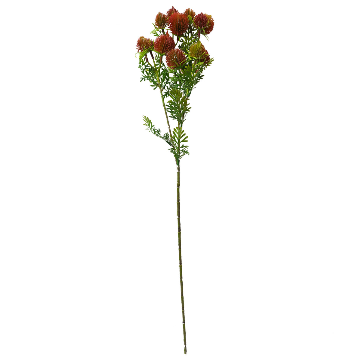55cm Craspedia Stem Red Artificial – image 4