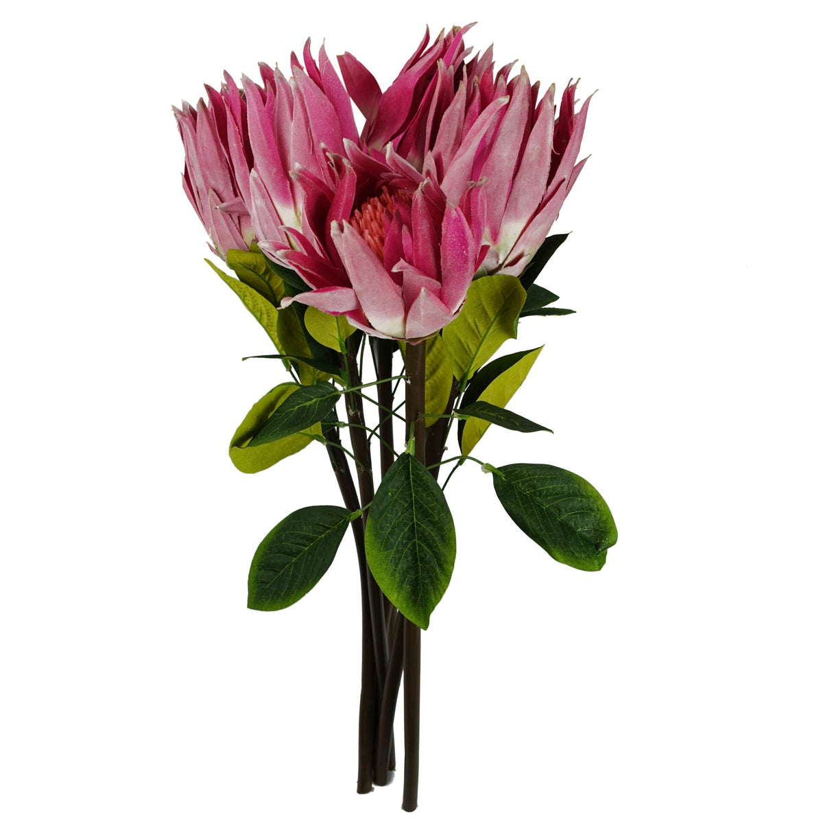 65cm Artificial Protea Sugarbush Flower Stem – image 28