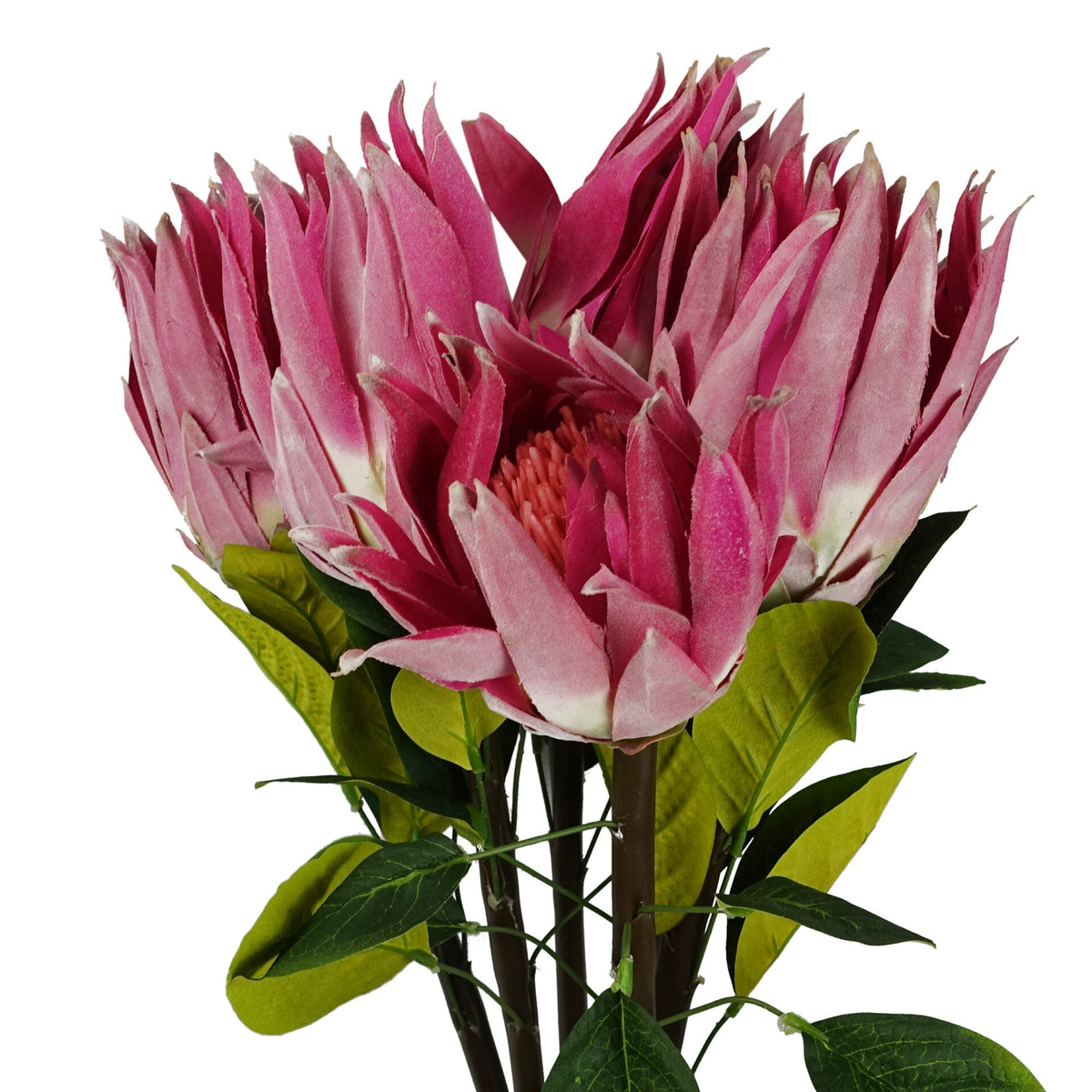 65cm Artificial Protea Sugarbush Flower Stem – image 12