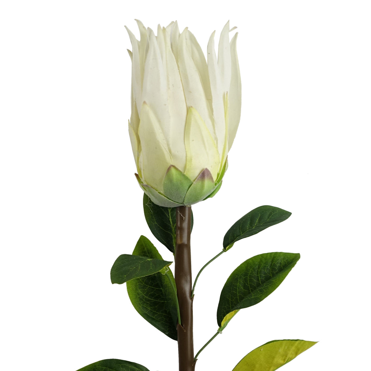 65cm Artificial Protea Sugarbush Flower Stem – image 3