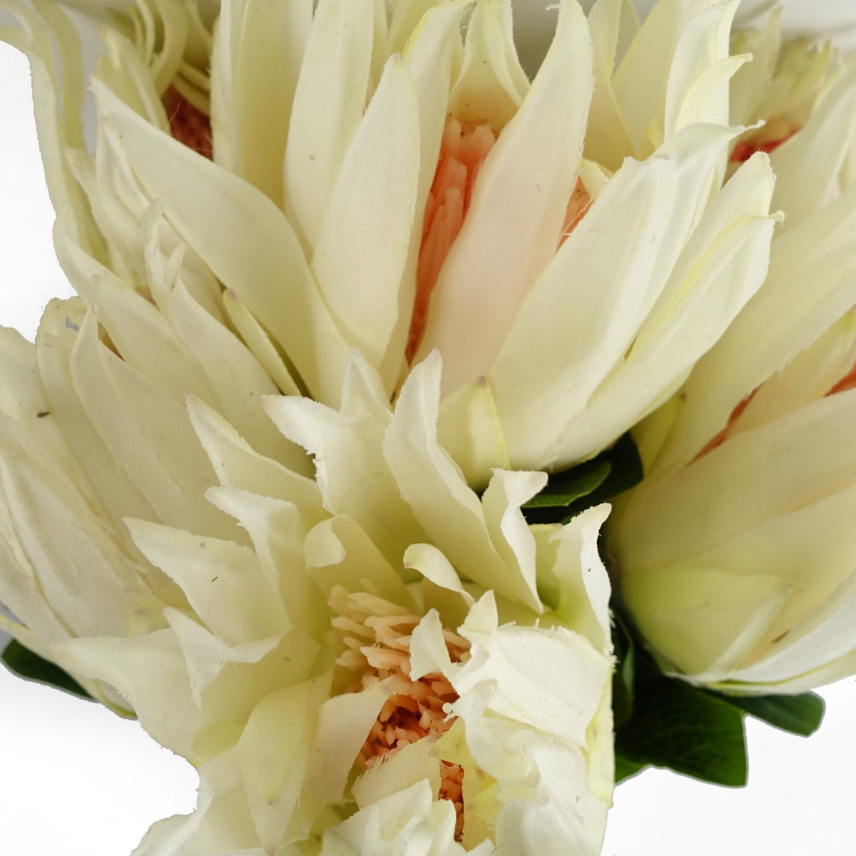 65cm Artificial Protea Sugarbush Flower Stem – image 19