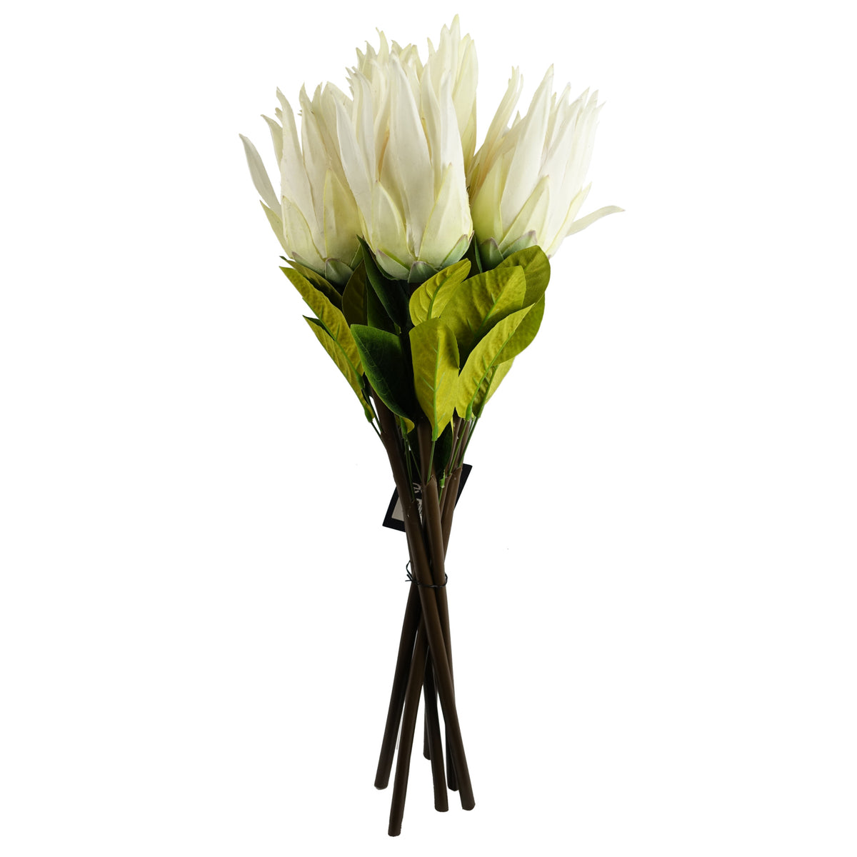 65cm Artificial Protea Sugarbush Flower Stem – image 8