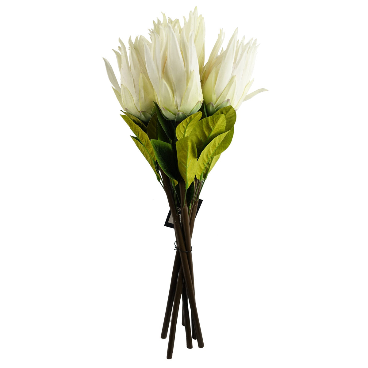 65cm Artificial Protea Sugarbush Flower Stem – image 20