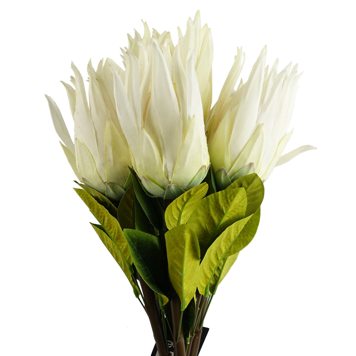 65cm Artificial Protea Sugarbush Flower Stem – image 9