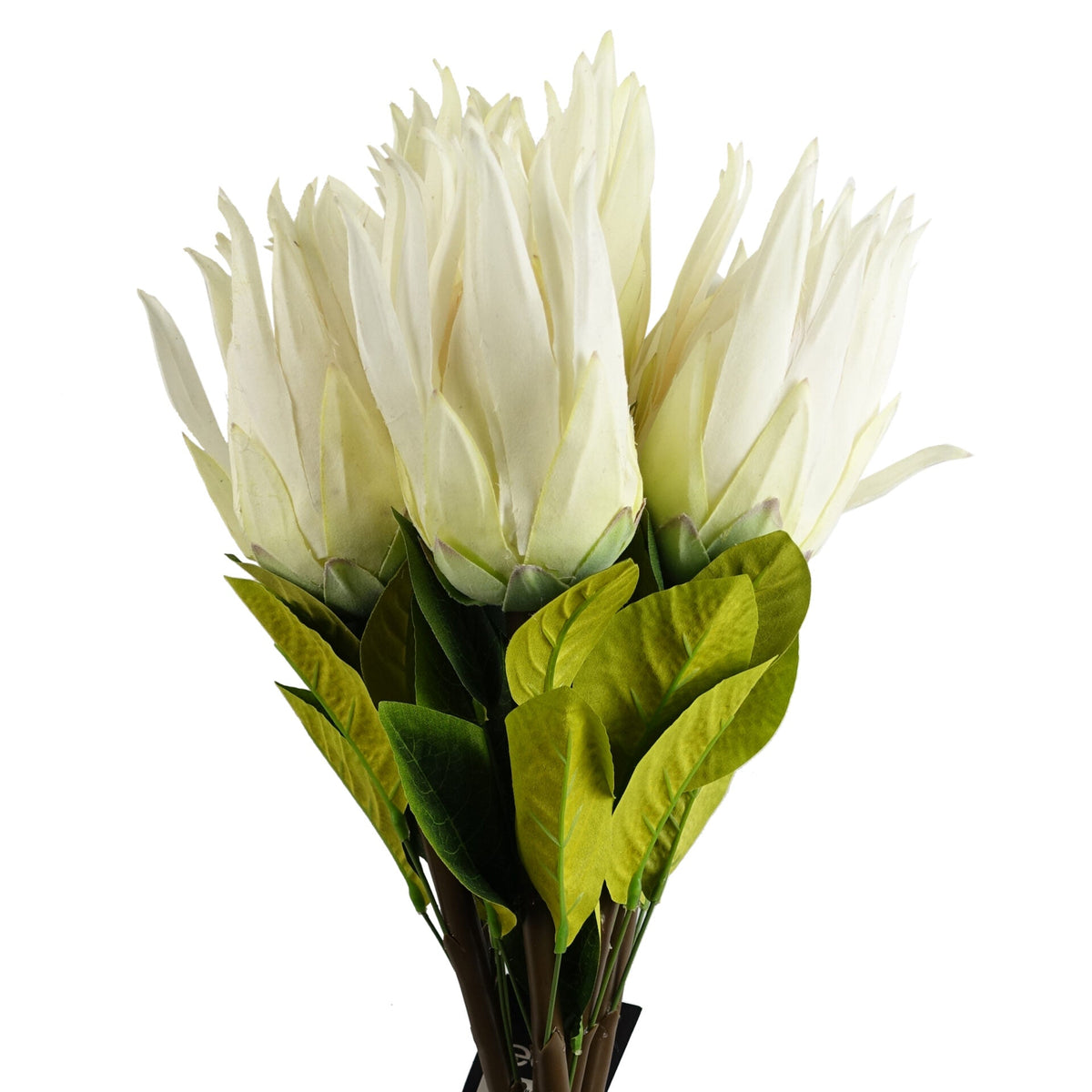 65cm Artificial Protea Sugarbush Flower Stem – image 21
