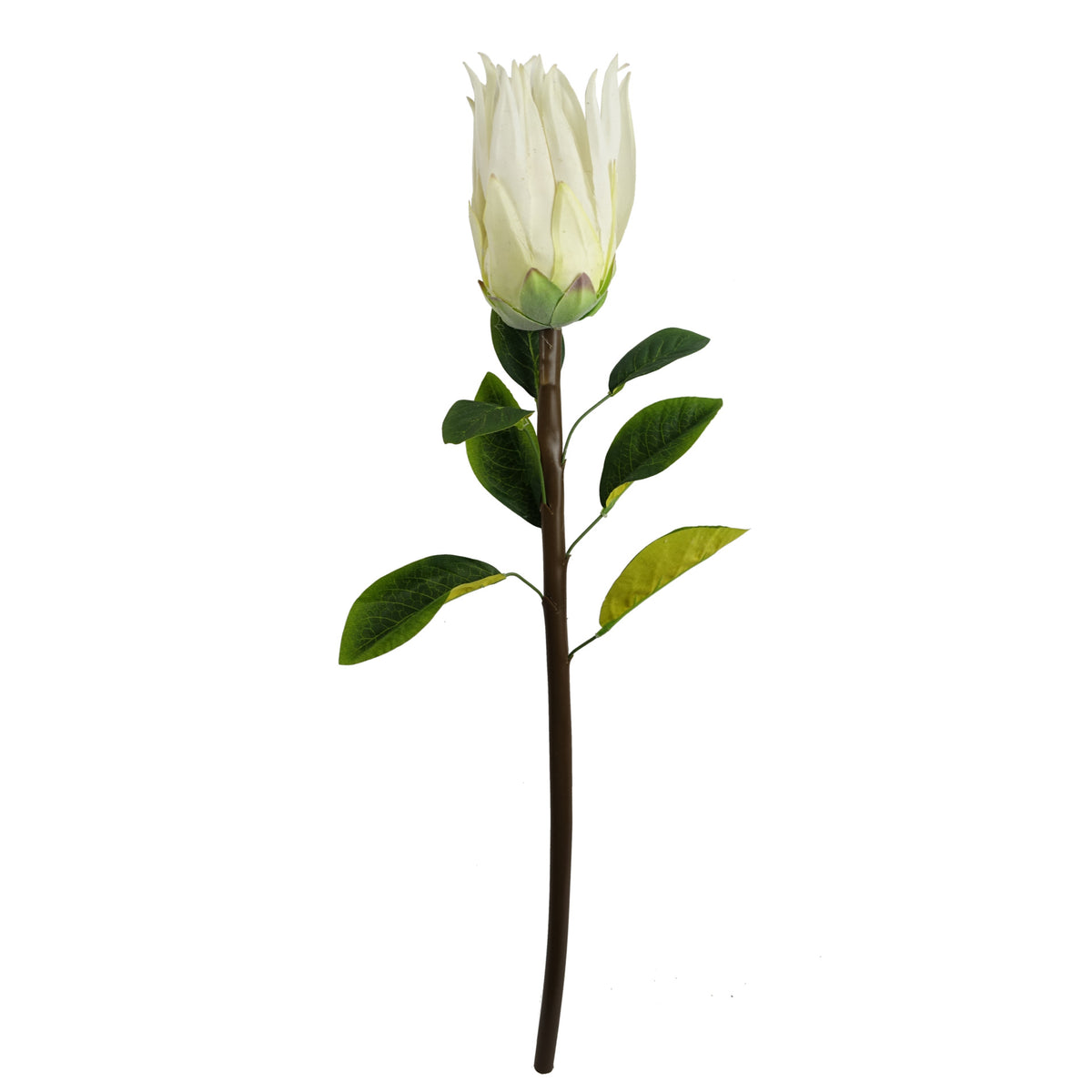 65cm Artificial Protea Sugarbush Flower Stem – image 5