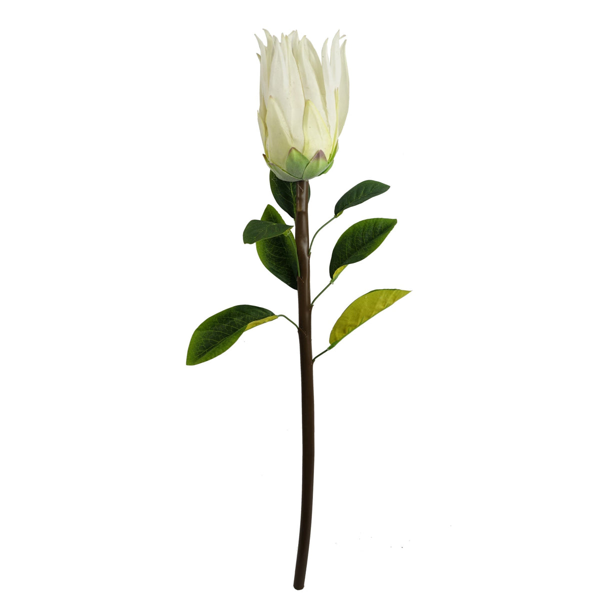 65cm Artificial Protea Sugarbush Flower Stem – image 4