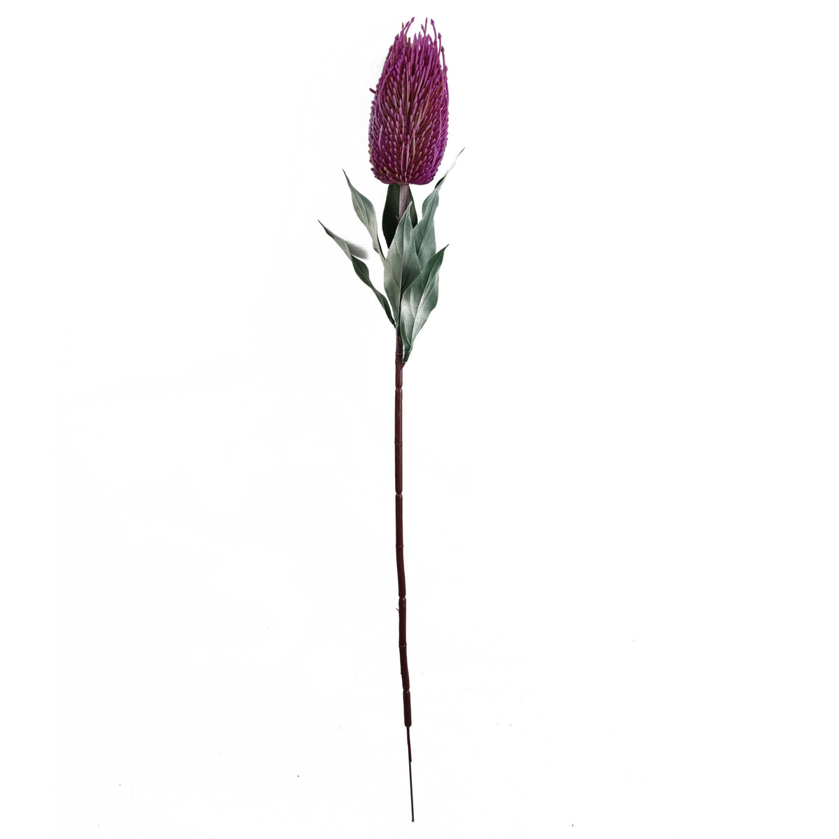 75cm Banksia Menziesii Faux Flower Stem Artificial – image 3