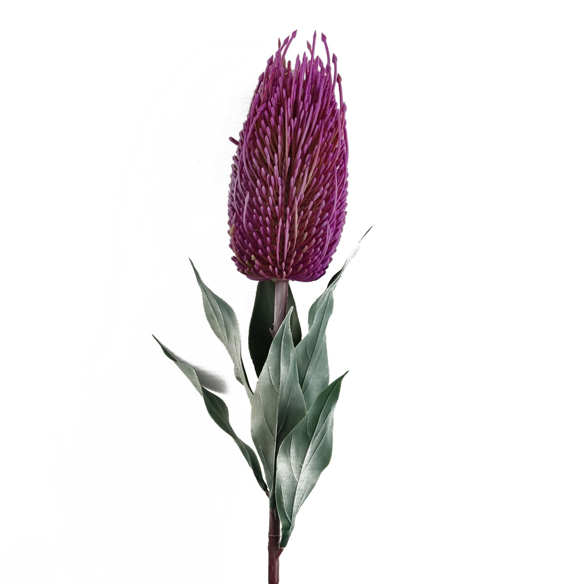 75cm Banksia Menziesii Faux Flower Stem Artificial – image 7