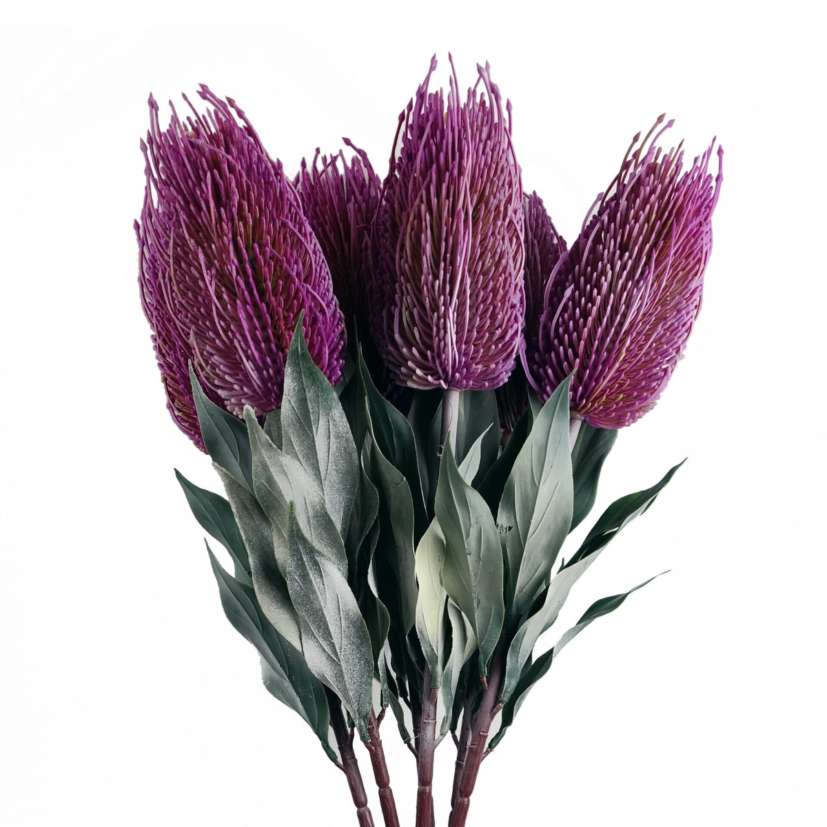 75cm Banksia Menziesii Faux Flower Stem Artificial