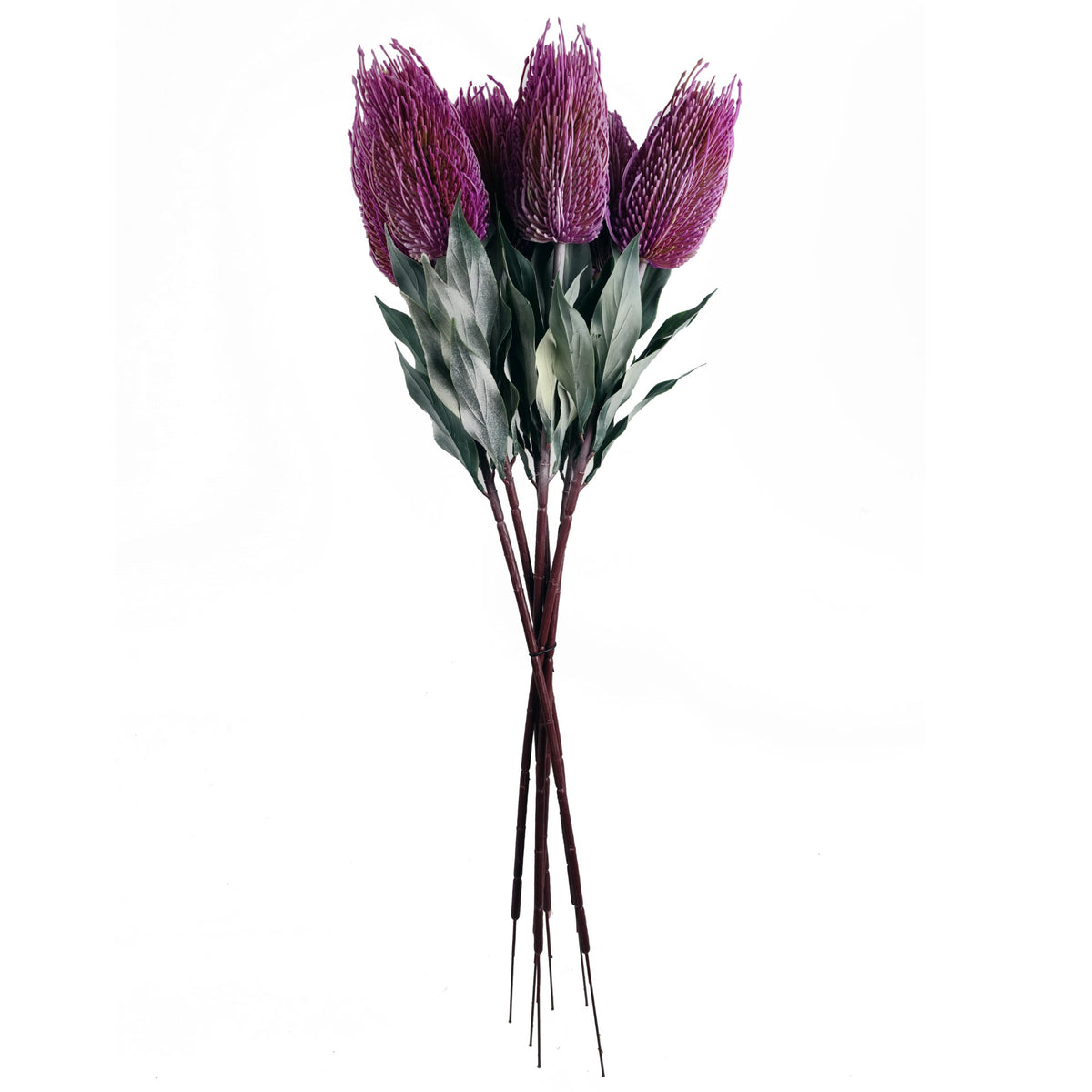 75cm Banksia Menziesii Faux Flower Stem Artificial – image 4