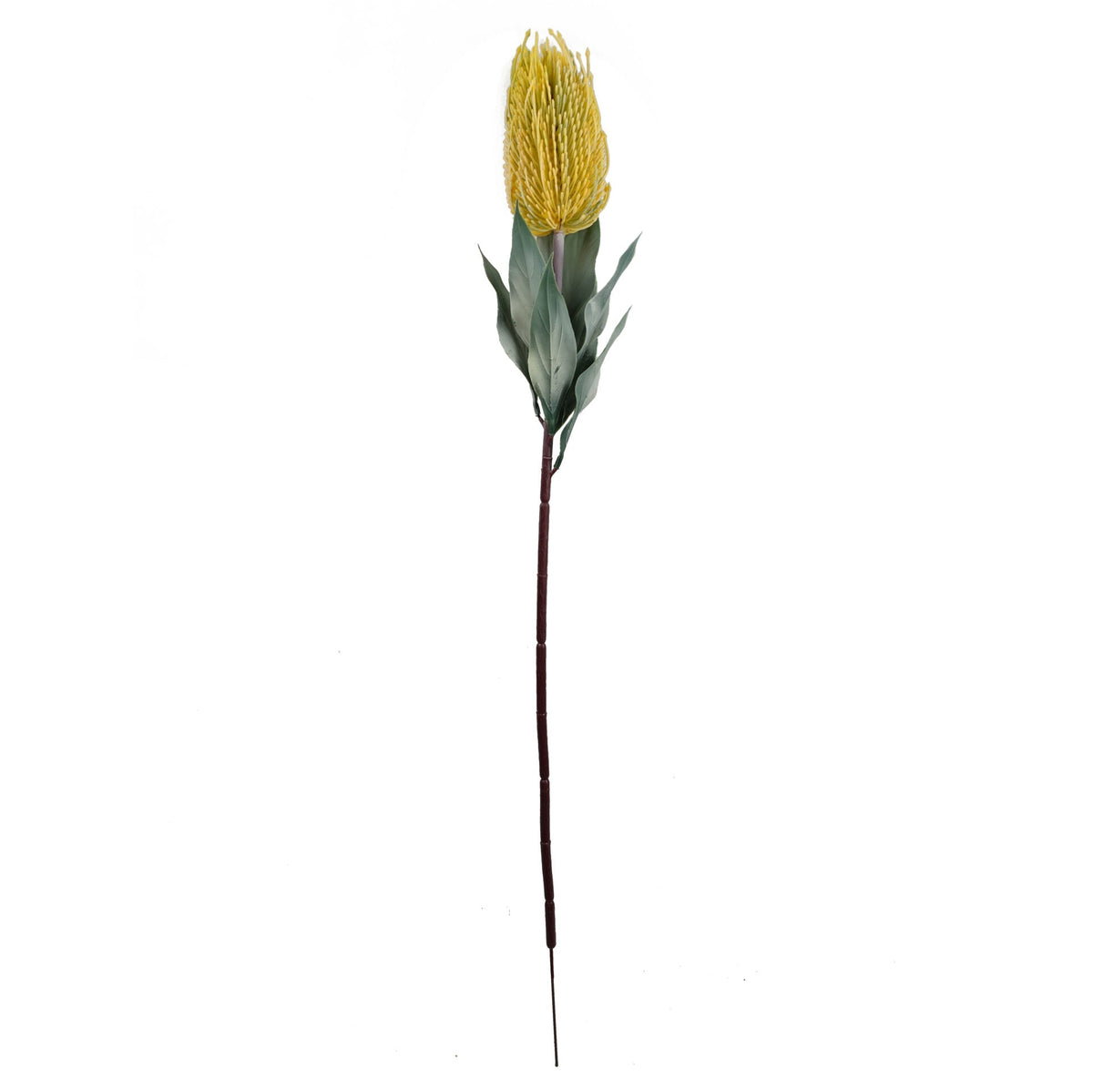 75cm Banksia Menziesii Faux Flower Stem Artificial – image 8