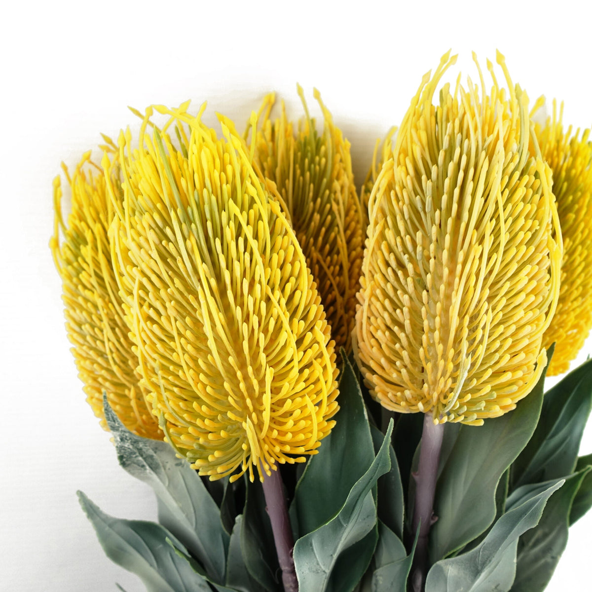 75cm Banksia Menziesii Faux Flower Stem Artificial – image 13