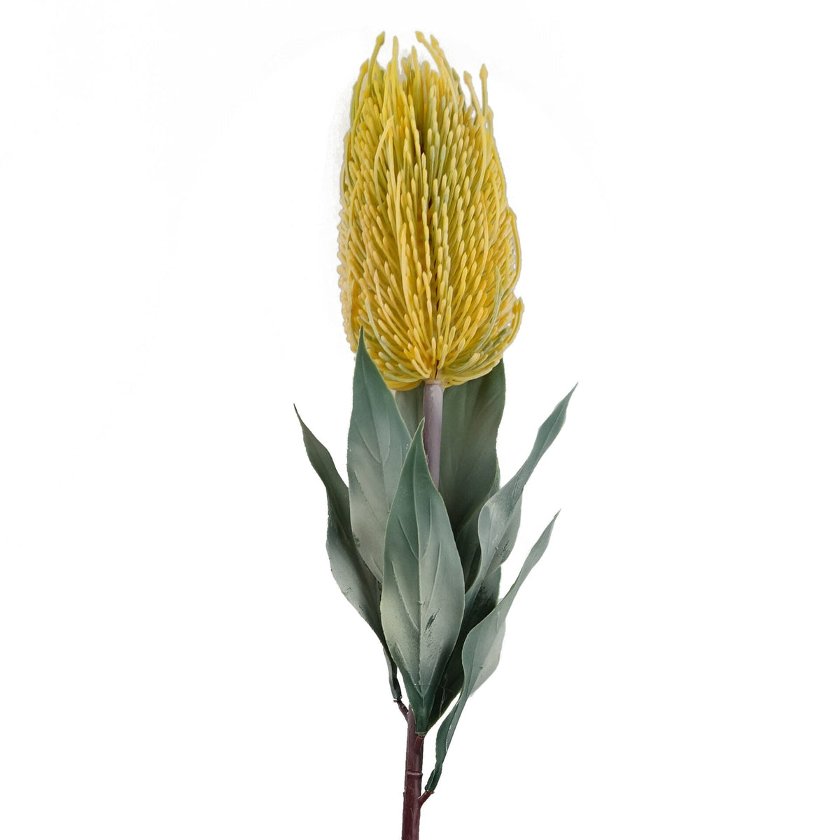 75cm Banksia Menziesii Faux Flower Stem Artificial – image 19