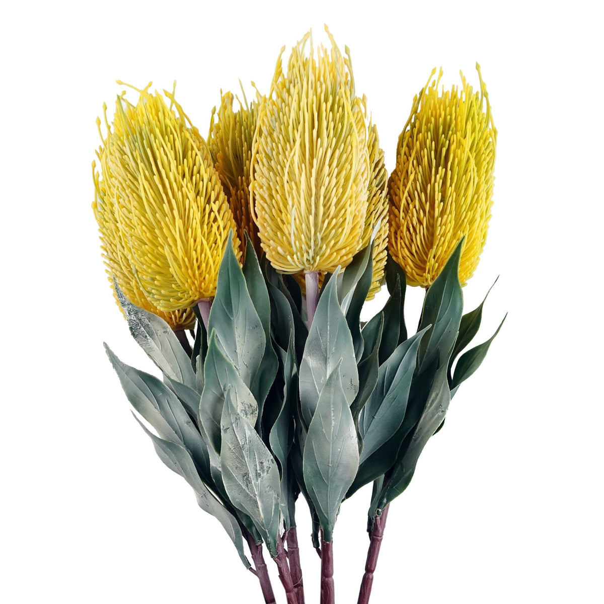 75cm Banksia Menziesii Faux Flower Stem Artificial – image 16