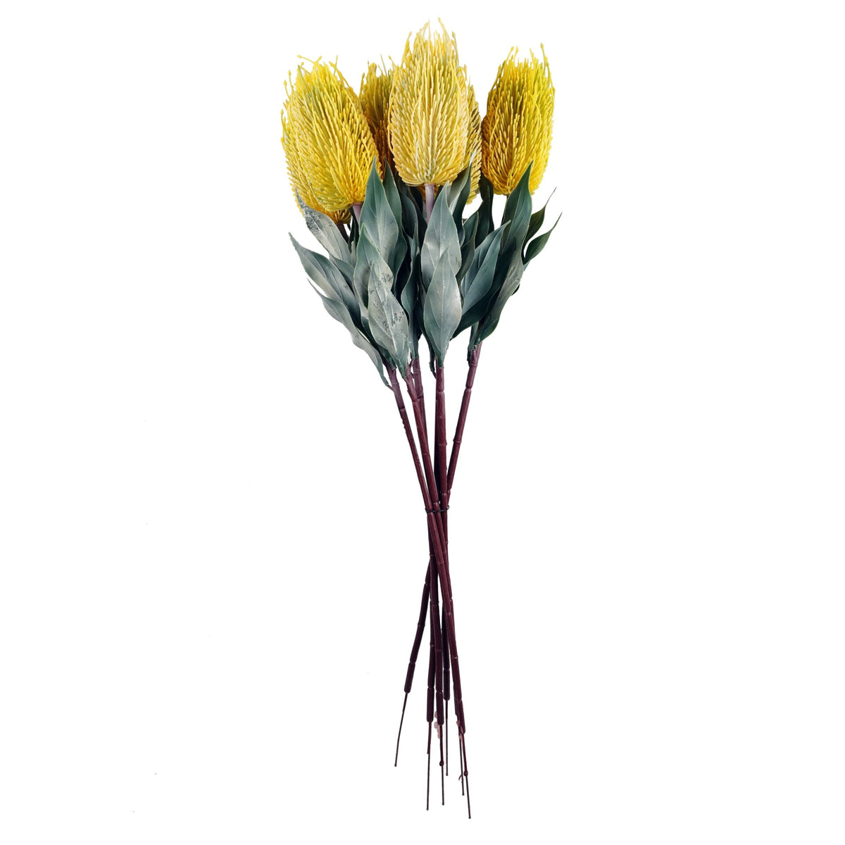 75cm Banksia Menziesii Faux Flower Stem Artificial – image 9