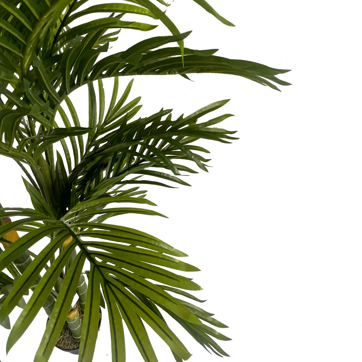180cm Artificial Tropical Palm Tree – image 5