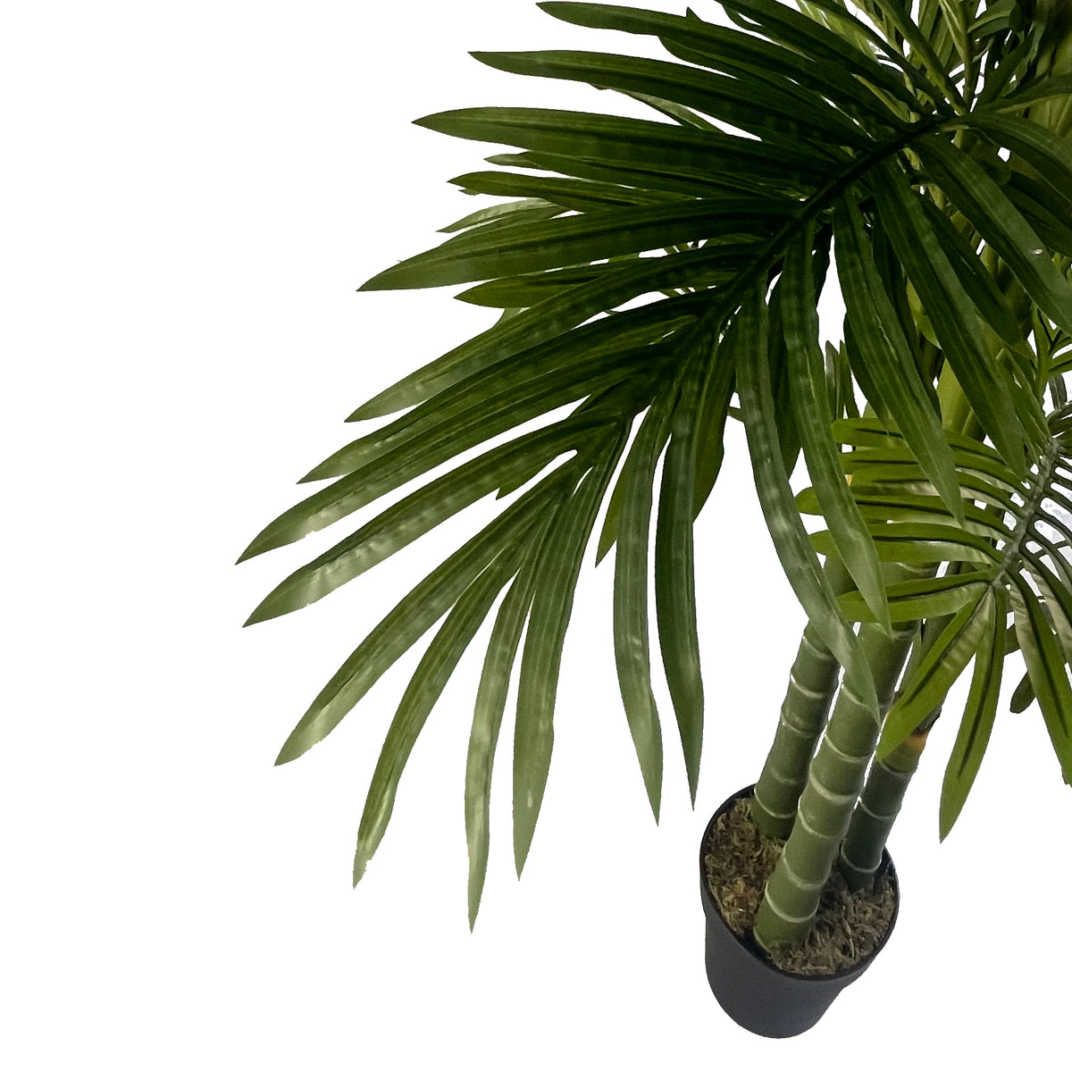 180cm Artificial Tropical Palm Tree – image 3